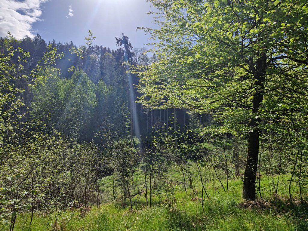 Standardbehandlung, Auflösen von Blockaden