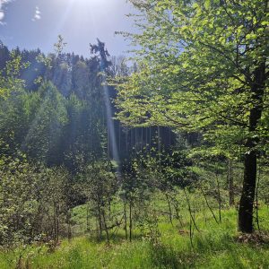 Standardbehandlung, Auflösen von Blockaden